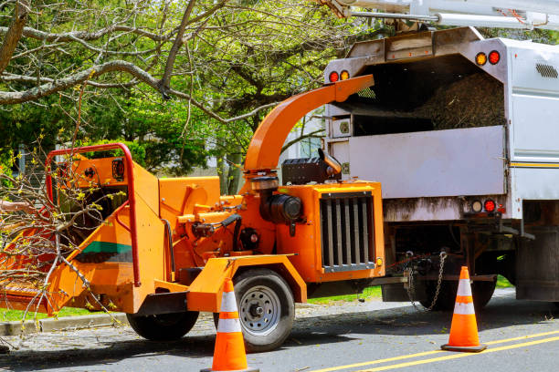 Leaf Removal in Napoleon, OH